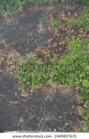 concerning ariel view of the jungle rain forest canopy damaged by slash and burn farming in Toledo District, Southern Belize, Central America with tree tops in lush green taken from a light aircraft