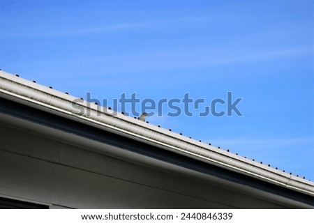 Silhouette of a sparrow on a house roof Royalty-Free Stock Photo #2440846339