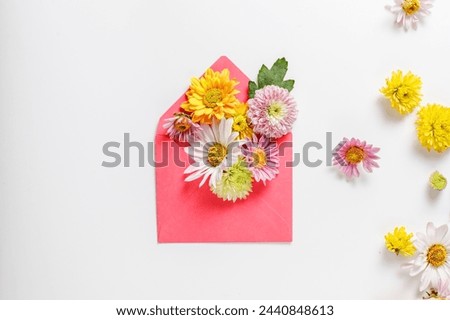 Beautiful flower composition from different field flowers. Flower card.