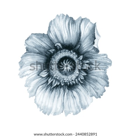 Watercolor monochrome gray-blue poppy flowers, stems, buds, leaves for frames, borders, invitations, labels, banners, patterns, cards, posters, memorial, veteran, wallpaper, stickers, scrapbooking