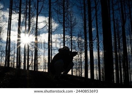A person crouches in the woods, taking a picture of the sun. The