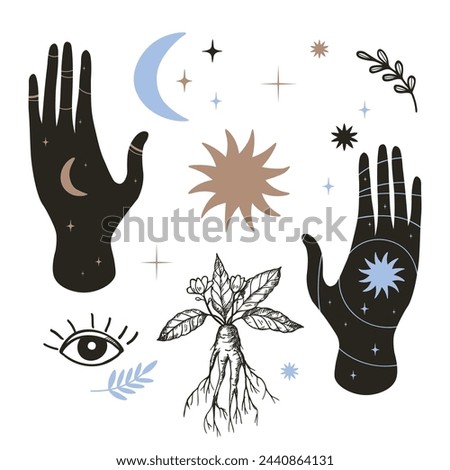 Magic set with mystical hands, sun, moon, star, plant, mandrake flowers, leaf, all-seeing eye hand drawn isolated vector illustration. Design boho background for print, card, paper, logo, paper, sign