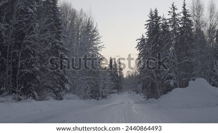 Winter Beauty in Alaska USA