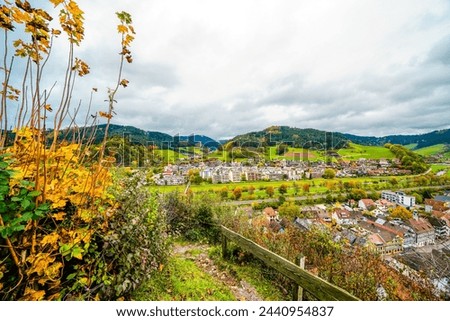 View of the town of Hausach from Husen Castle near Hausach. Landscape with a village in the Black Forest in the Kinzig valley.	 Royalty-Free Stock Photo #2440954837