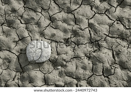 The cracked bottom with stone in a dried-up lake Royalty-Free Stock Photo #2440972743