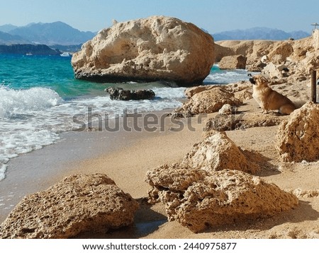 seascape with mountains on the horizon and turquoise water, rocks on the sandy beach. Waves and storm
