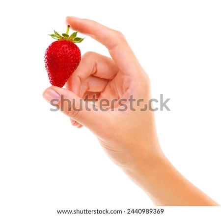 Hands, strawberry and healthy food for diet, wellness and weight loss with ingredient isolated on white background. Person with fruit, sweet or sour with nutrition, red berries for detox and vegan