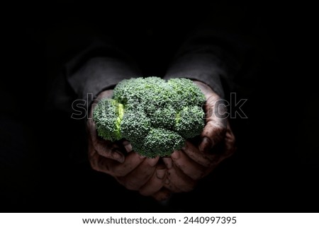 Close-Up 4K Ultra HD Image of Broccoli Held in Farmer's Hand in Darkness - Stock Photography