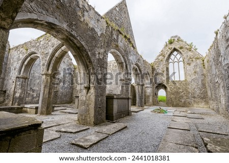 Landascapes of Ireland. Ruins of Friary of Ross in Galway county

 Royalty-Free Stock Photo #2441018381