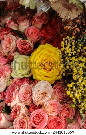 Discover beautiful stock photos of a yellow rose surrounded by a bunch of other flowers, perfect for your design projects or social media posts