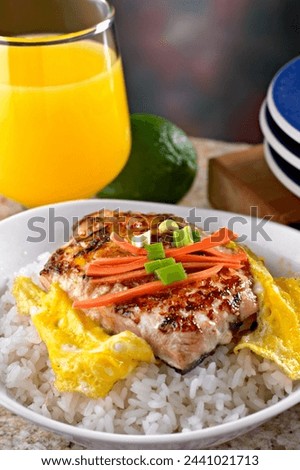 Close-Up 4K Ultra HD Image of Roasted Mahi over Steamed White Rice with Egg - Stock Photography