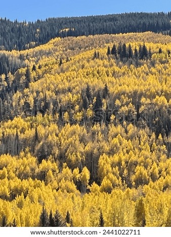 These photos were taken in the beautiful mountains at Vail, Colorado. It was a beautiful autumn day around the peak foliage fall season. 