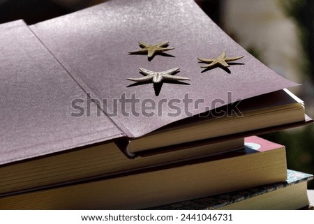 Summer memories with three little dry starfish on the open book