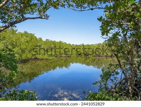 Mangrove islands in the Intracoastal waterway along the Gulf of Mexico at Cockroach Bay in Ruskin, Florida. The islands are framed by red mangrove branches on the shore. Royalty-Free Stock Photo #2441052829