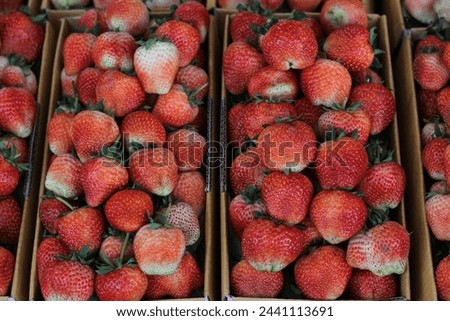 Picture a lot of Strawberry many size packing cardboard box  in the local market of Thailand . It have yellow with orange and red color for ripe fruit . This picture use for background .