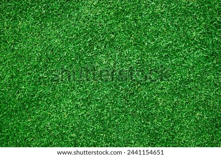green lawn background Outdoor nature artificial grass decoration