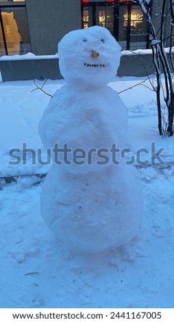 Snow man, chilled, snow, daytime snow
