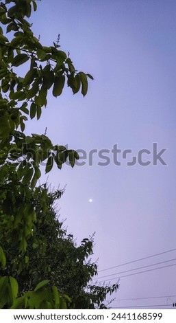 selective focus picture of the moon in the city sky