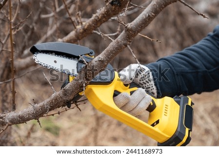 Gardener's hand cuts branch on a tree, with using small handheld lithium battery powered chainsaw. Season pruning. Trimming trees with chainsaw in backyard home. Season cut tree. Close up. Royalty-Free Stock Photo #2441168973