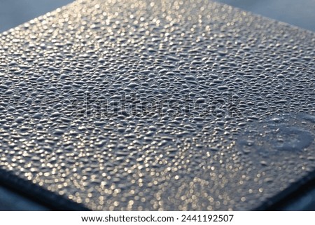 Golden Dew: Sunlit Water Droplets on Surface