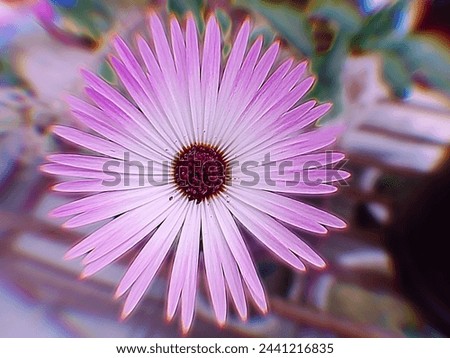 A beautiful image of pink flower with soft light editing.Background image