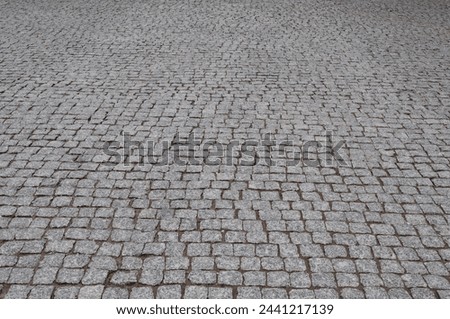 Fragment of road paved with gray cobblestones