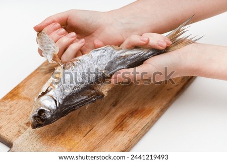 Dried dry fish taranka, ram, roach, bream, flatfish are held by female hands cleans and processes food on a white background. Beer snack.
