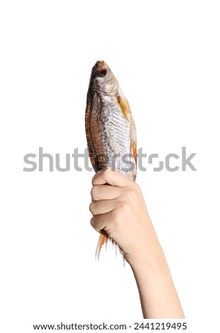 Dried dry fish ram, roach, bream, flatfish are held by female hand on a white background isolated. Beer snack.