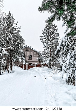 Snowy village: road, house and trees. Photo winter landscape.