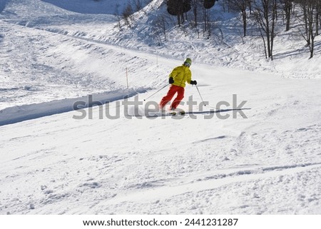Vibrant Skier Carving on Snowy Trail