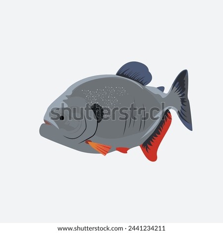  Piranha fish and bawal fish for premium vector