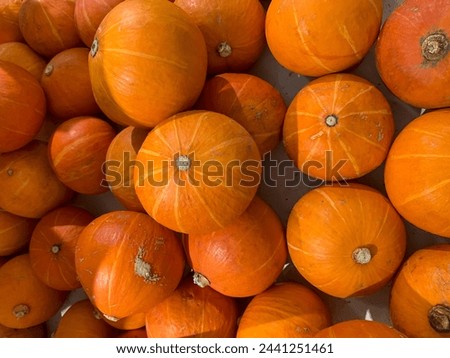 A group of pumpkin fruits for sale at the supermarket. Close up view, selective focus.