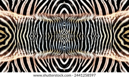 Animals Pattern, Zebra skin background