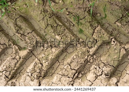 Tractor Tire Tracks on Parched Cracked Earth Royalty-Free Stock Photo #2441269437