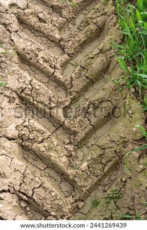 Tractor Tire Tracks on Parched Cracked Earth Royalty-Free Stock Photo #2441269439