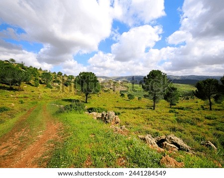 Israeli landscape on the border with Hebron.  Royalty-Free Stock Photo #2441284549