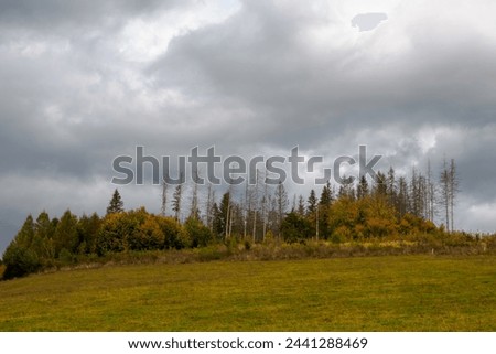 Autumn Mountain Landscape. Dramatic sky. In the foreground autumn's trees. Zilina Region. Liptovske Matiasovce. Slovakia