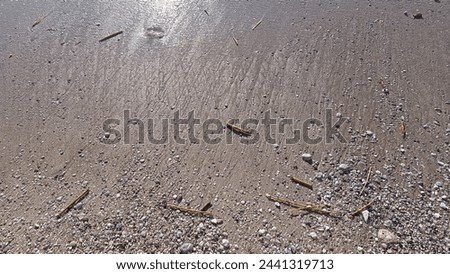 A gorgeous picture of a sandy beach, capturing the sunlight as it sparkles on the wet grains as the wave pulls back, streaking the golden sand. Pebbles and seaweed washed on the shore.