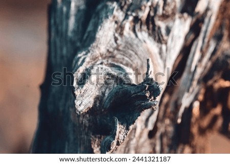 background, different shapes and textures of wood Royalty-Free Stock Photo #2441321187