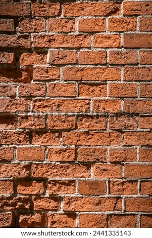 Big full frame background of detailed old red brick wall with copy space 1
