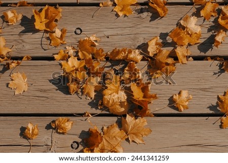 Picture taken of leaves laying on the boardwalk.