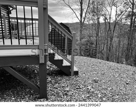 Black and white photo. Rear deck and view from a log cabin in the mountains. 