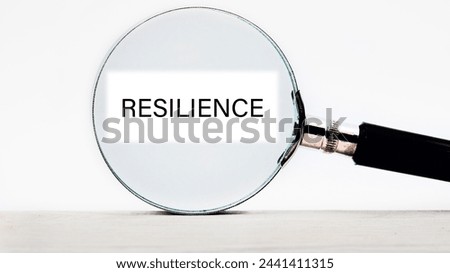 The written word RESILIENCE through a magnifying glass on a white stripe on a light background