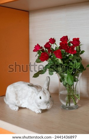 red roses in a vase on the table, a white rabbit is sitting