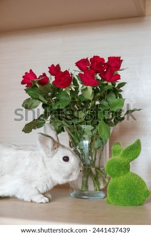 red roses in a vase on the table, a white rabbit is sitting, easter