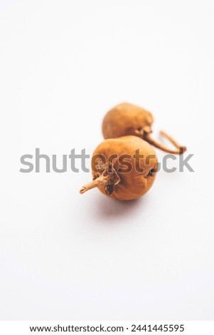 Ayurvedic Choti Kateli also known as Kantkari or Solanum Surattense dried and powder form Royalty-Free Stock Photo #2441445595