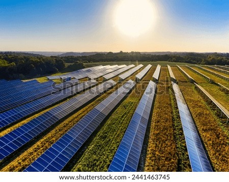 a picture of solar pannels on a farm