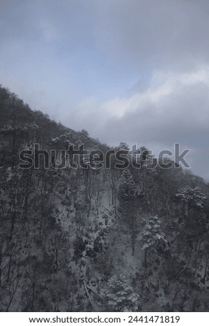 Awesome Beautiful forest Snow Mountain from Shiga Japan