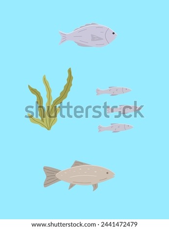Set of sea or river fish and algae. Vector illustration dorado carp, a school of fish, blue background.