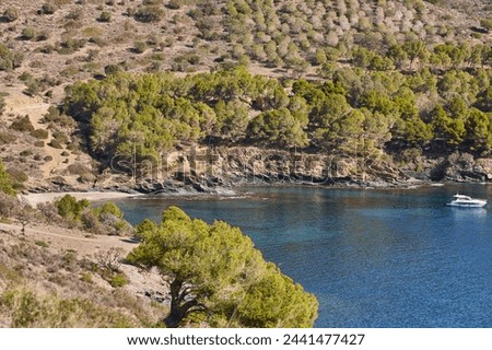 Mediterranean coastline. La Pelosa beach. Montjoi cove. Girona, Catalonia. Spain Royalty-Free Stock Photo #2441477427